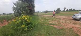  Plot For Resale in Kovilpalayam Coimbatore 6554992