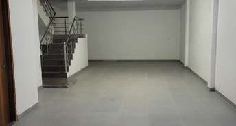Commercial Warehouse 1800 Sq.Yd. For Rent In Tarun Enclave Delhi 6556252