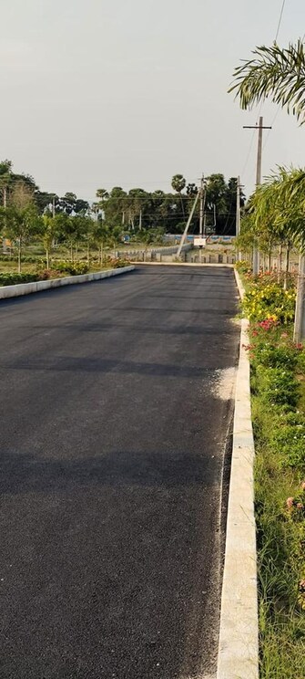 Plot For Resale in Vizag Airport Vizag  6556639