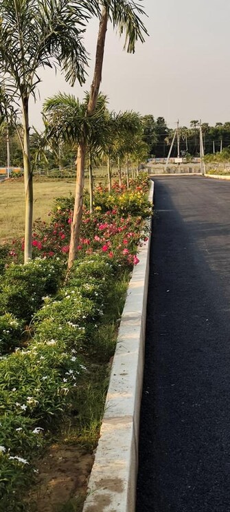 Plot For Resale in Vizag Airport Vizag  6556639