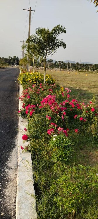 Plot For Resale in Vizag Airport Vizag  6556639