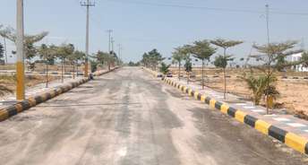  Plot For Resale in Muthangi Hyderabad 6557159