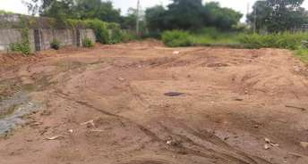  Plot For Resale in Ameenpur Hyderabad 6557306
