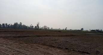  Plot For Resale in Sector 77 Gurgaon 6557617