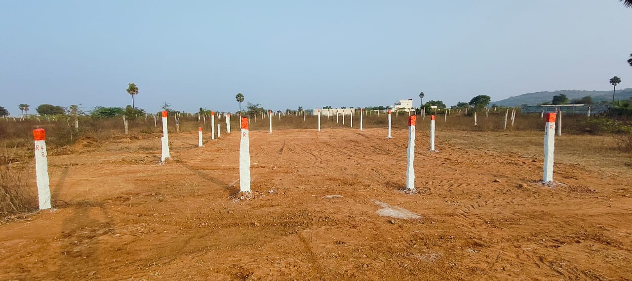 Plot For Resale in Pedda Amberpet Hyderabad  6557639