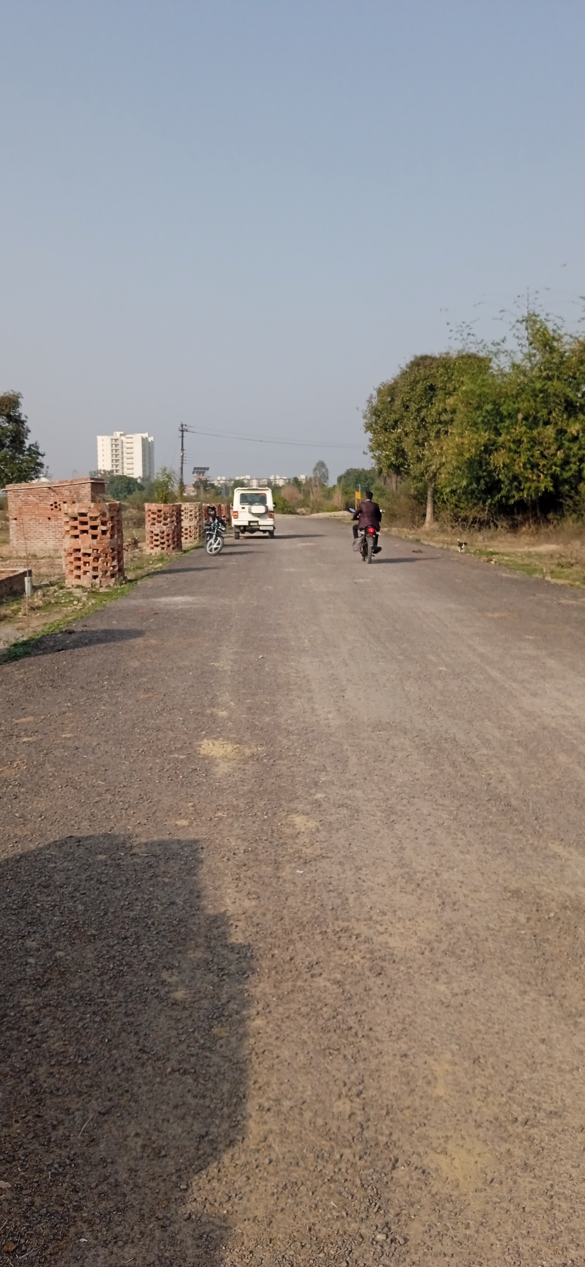 Plot For Resale in Sultanpur Road Lucknow  6557783