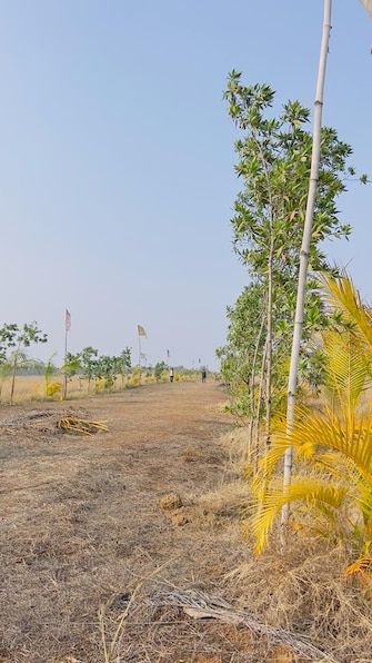 Plot For Resale in Titurdiha Durg  6558126