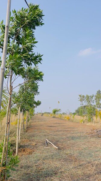 Plot For Resale in Titurdiha Durg  6558126