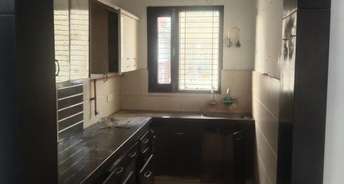 2 BHK Builder Floor For Rent in Sector 12 Sonipat 6558125