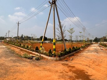 Plot For Resale in Nelamangala Bangalore  6558164