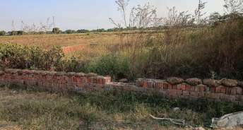  Plot For Resale in Sector 39 Gurgaon 6558204