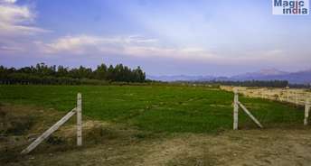  Plot For Resale in Behat Road Saharanpur 6558205