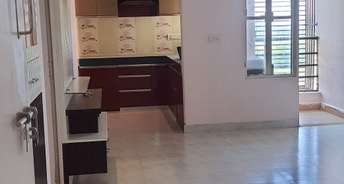 2 BHK Apartment For Rent in Awadh Avenue Amar Shaheed Path Lucknow 6558528