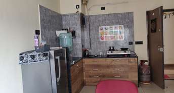 1 BHK Apartment For Rent in Paranjape Blue Ridge Hinjewadi Pune 6558721