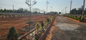 Plot For Resale in Dasanapura Bangalore  6559376