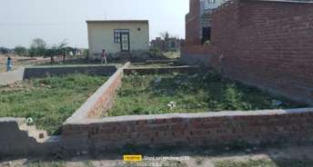  Plot For Resale in Om Enclave Faridabad Mithapur Faridabad 6559645