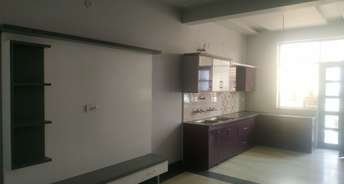 2 BHK Builder Floor For Rent in Sector 12 Sonipat 6559746