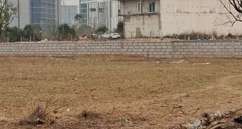  Plot For Resale in Sector 38 Gurgaon 6559748