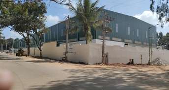 Commercial Warehouse 70000 Sq.Ft. For Rent In Hoskote Bangalore 6559702