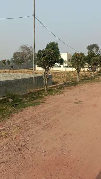  Plot For Resale in Sector 72a Gurgaon 6559912