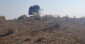  Plot For Resale in Haldwani Nainital 6560202