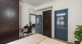 1 BHK Apartment For Rent in Maithri Layout Bangalore 6560551