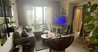 2 BHK Apartment For Rent in DLF Regency Park I Dlf Phase iv Gurgaon 6559940