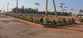 Plot For Resale in Nelamangala Bangalore  6560589