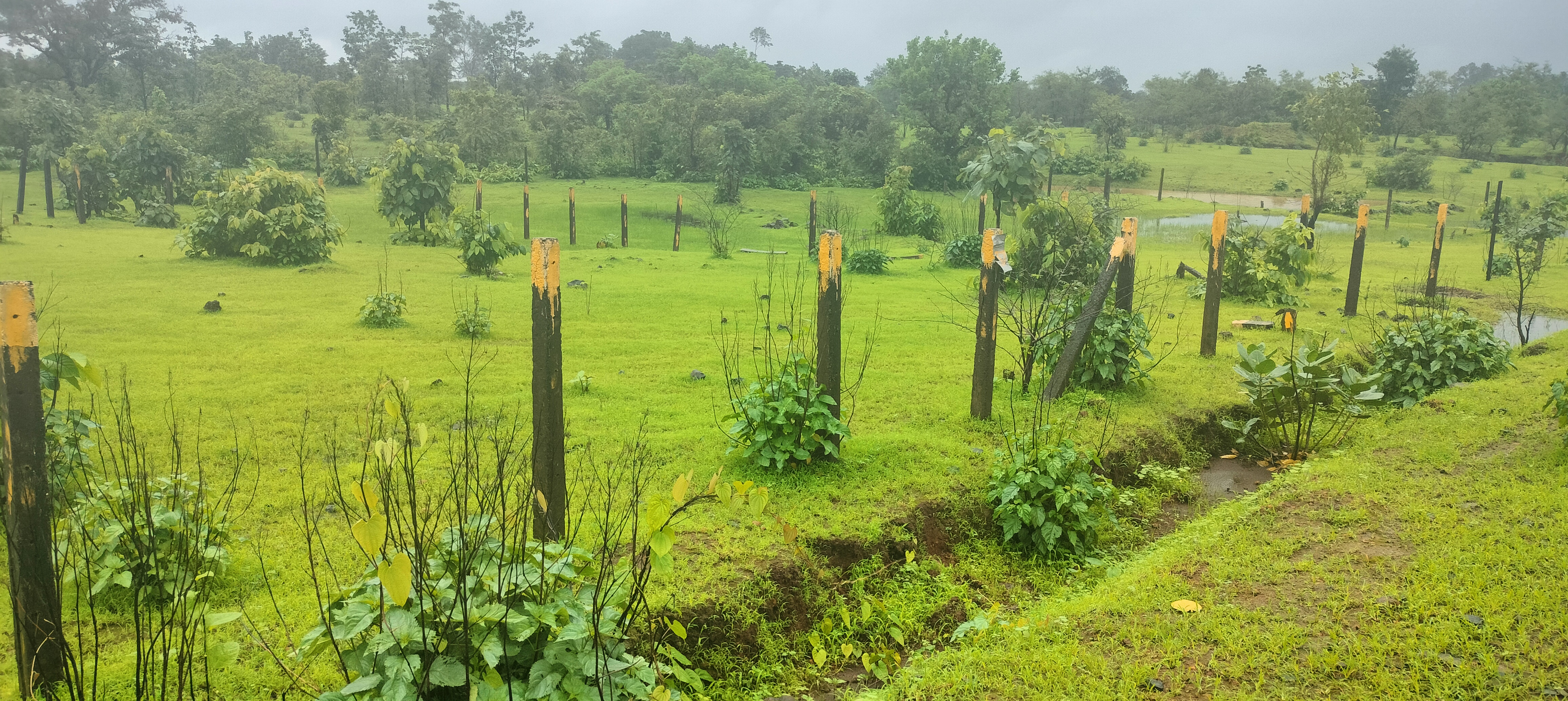 रेसिडेंशियल प्लॉट वर्ग फुट फॉर रीसेल इन मुरबाद कर्जत रोड थाने  6561299