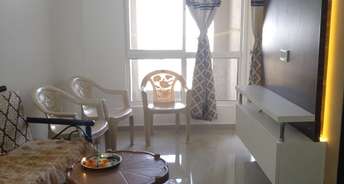 1 BHK Apartment For Rent in Xrbia Xrbia Hinjewadi Hinjewadi Pune 6561292