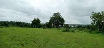 Commercial Land 1000 Acre For Resale in Sadanand Wadi Ratnagiri  6561311