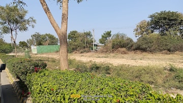 Plot For Resale in Ashok Vatika Ahmedabad  6561394