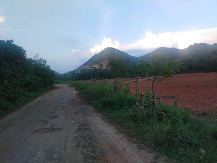 Panchayat Plot