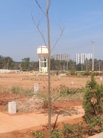 Plot For Resale in Nelamangala Bangalore  6562083