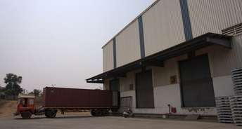 Commercial Warehouse 50000 Sq.Ft. For Rent In Jawaharlal Nehru Port Trust Navi Mumbai 6562084
