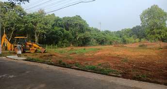  Plot For Resale in Akathiyoor Thrissur 6526396