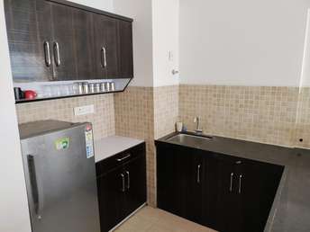 1 BHK Apartment For Rent in Lodha Belmondo Gahunje Pune 6562134