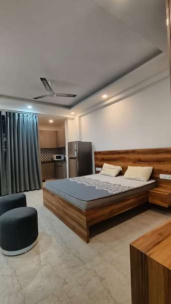 1 RK Apartment For Rent in Sector 43 Gurgaon  6562146