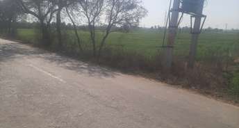 Commercial Land 50 Acre For Resale In Sonipat Road Sonipat 6557123