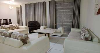 2 BHK Apartment For Rent in Jaypee Greens Star Court Jaypee Greens Greater Noida 6563065