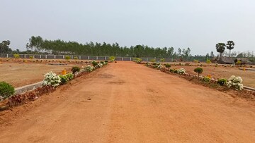  Plot – Exterior View View at Kothavalasa - for Sale