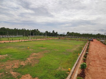 Plot – Exterior View View at Kothavalasa - for Sale