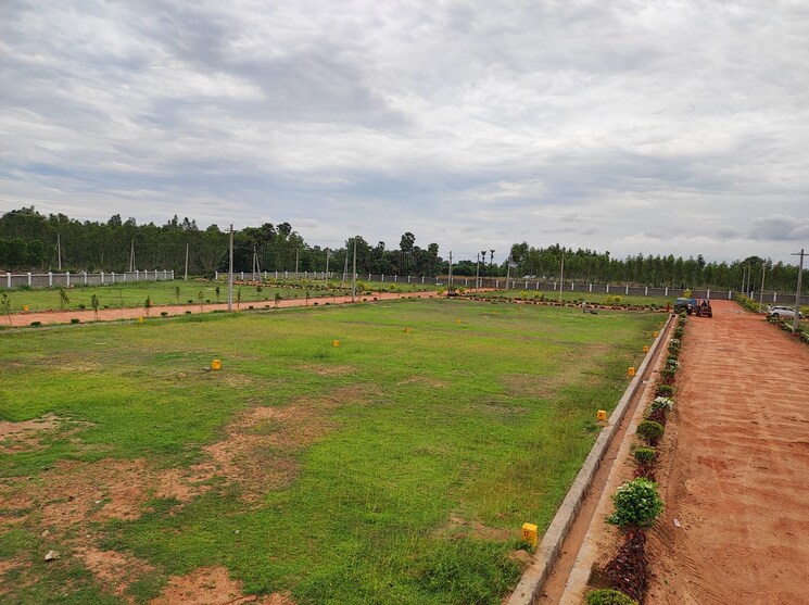 Exterior View, kothavalasa  200 Sq.Yd. Plot In Kothavalasa Vizag 6563232