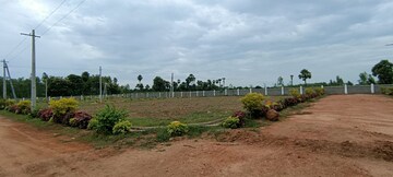  Plot – Exterior View View at Kothavalasa - for Sale