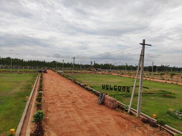 Plot Area in  Plot at Kothavalasa – for Sale