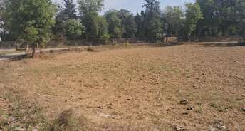  Plot For Resale in Sector 72a Gurgaon 6563401