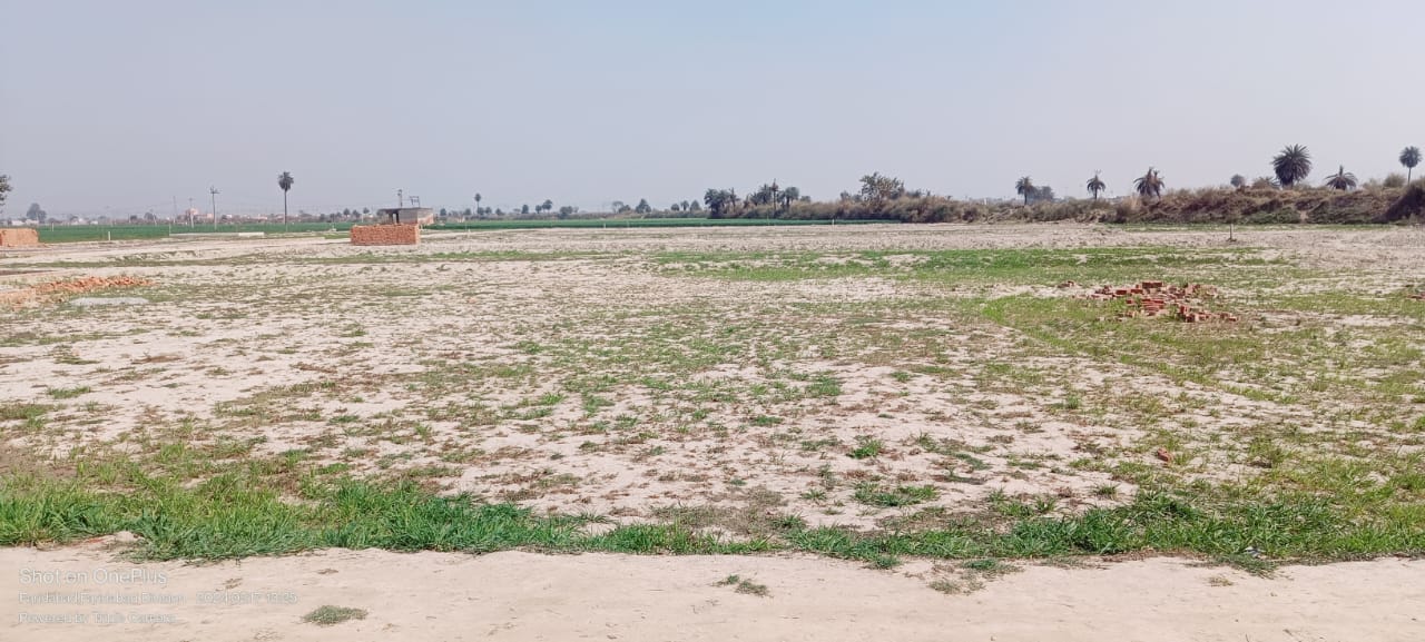 Plot For Resale in Sector 89 Faridabad  6563485