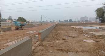  Plot For Resale in Sector 15 Sonipat 6563582