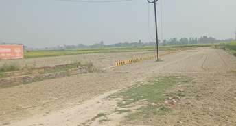 Plot For Resale in Faizabad Road Lucknow 6563625