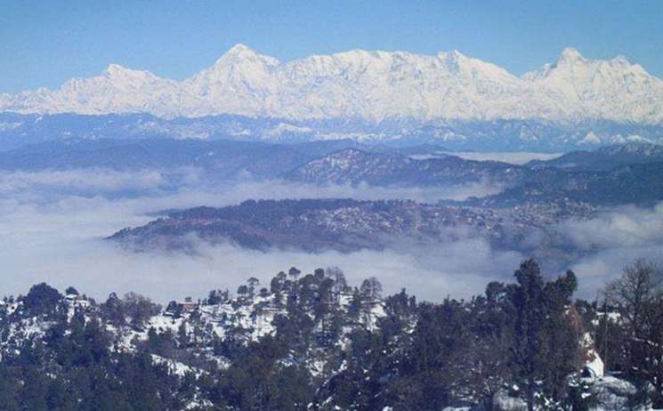 Himalayan Oak Resort